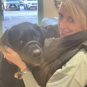 Meet your Posher, Laurie